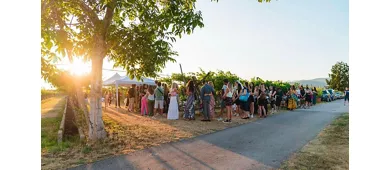 Azienda Agricola Fugolo Gianluca