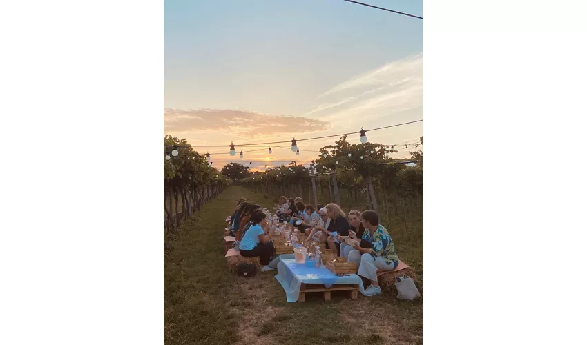 Azienda Agricola Fugolo Gianluca