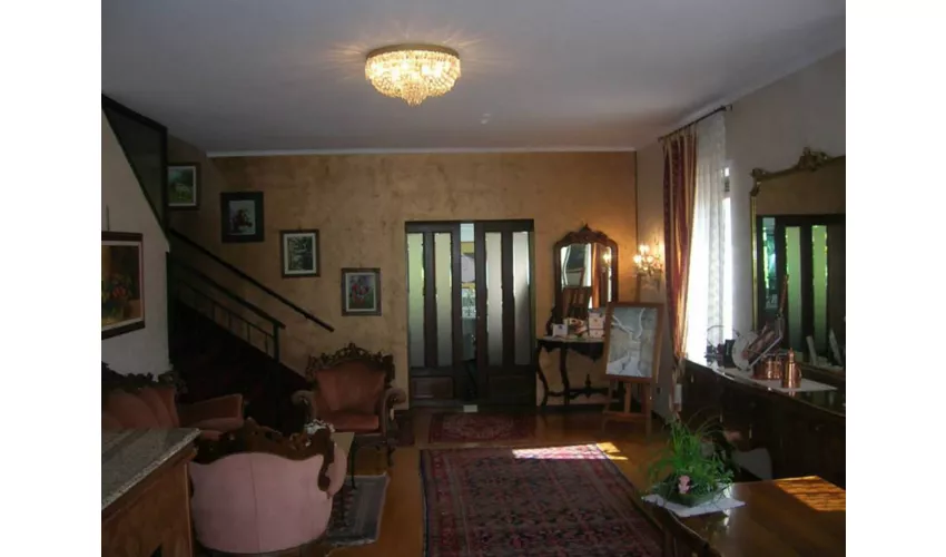 Rosa d'Oro