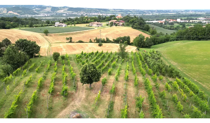 Agriturismo LA SIORENNA