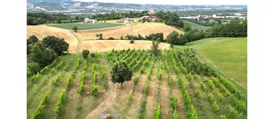 Agriturismo LA SIORENNA