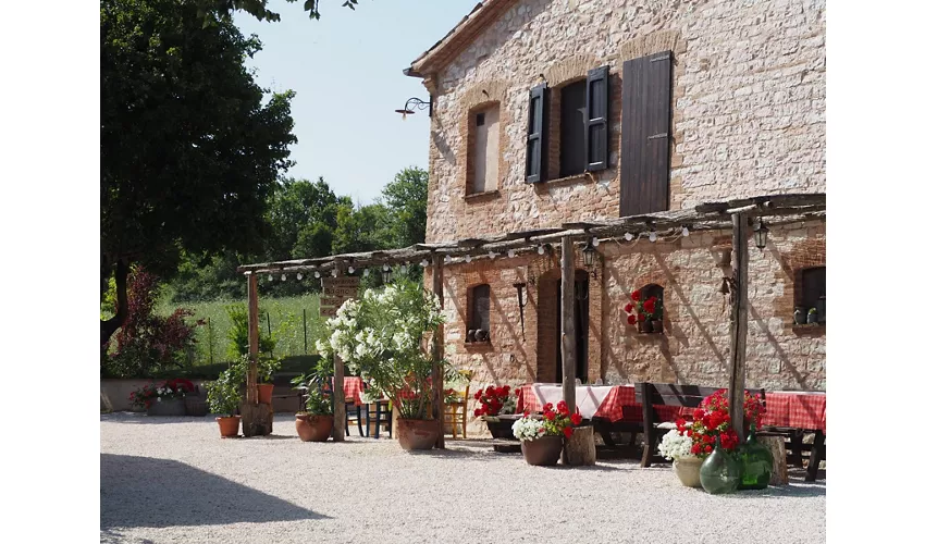 Agriturismo Il Castellaro