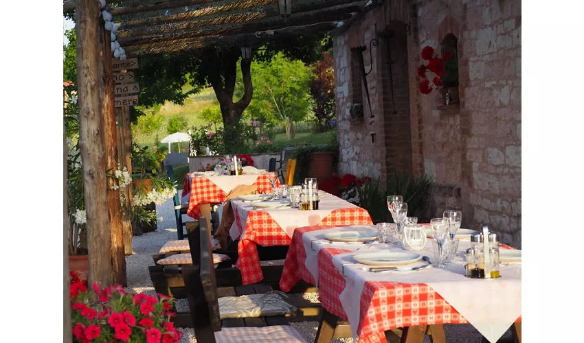 Agriturismo Il Castellaro