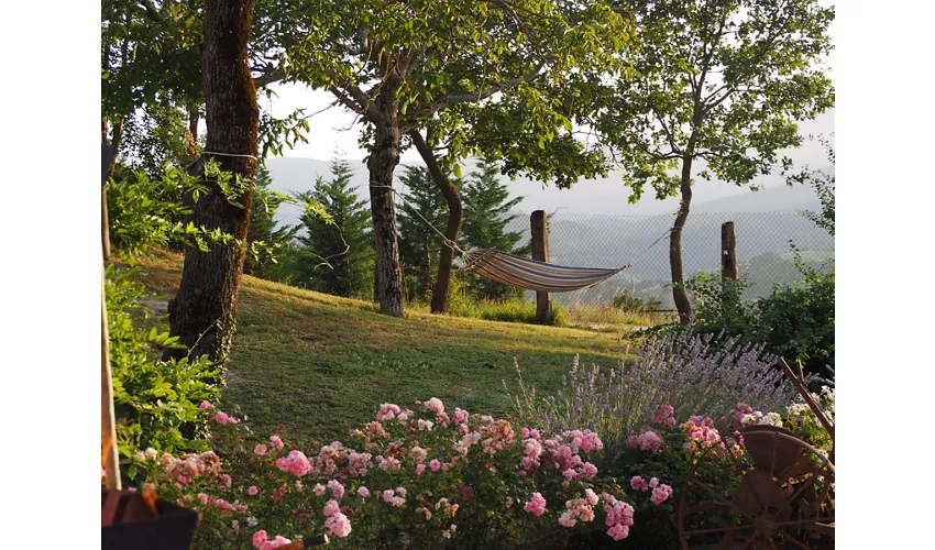 Agriturismo Il Castellaro