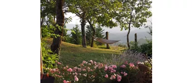 Agriturismo Il Castellaro