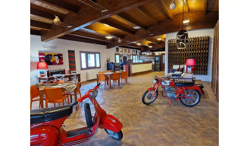 Cantina Giuseppe Sedilesu