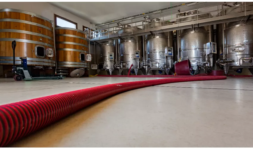Cantina Giuseppe Sedilesu