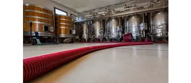 Cantina Giuseppe Sedilesu
