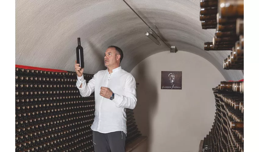 Cantina Giuseppe Sedilesu