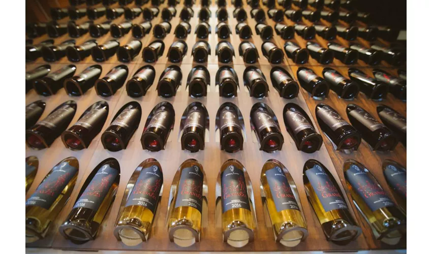 Cantina Giuseppe Sedilesu