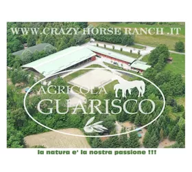Agricola Guarisco
