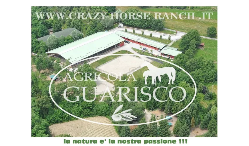 Agricola Guarisco