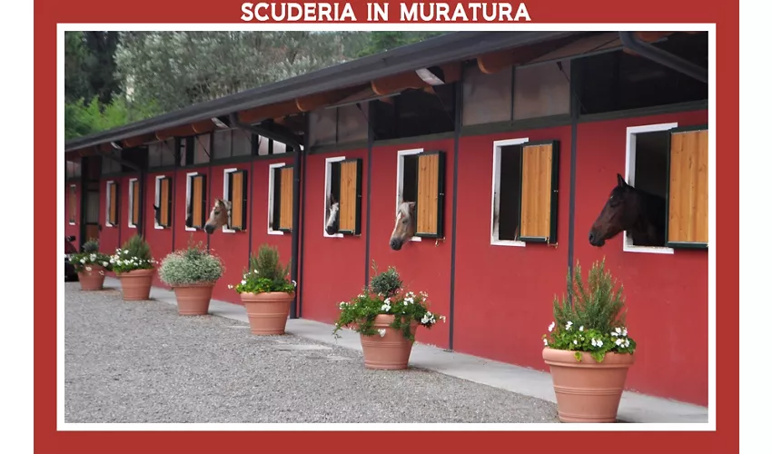 Agricola Guarisco