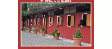 Agricola Guarisco