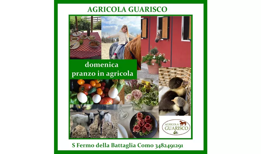 Agricola Guarisco