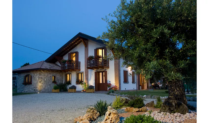 Agriturismo B&B Casale degli Ulivi