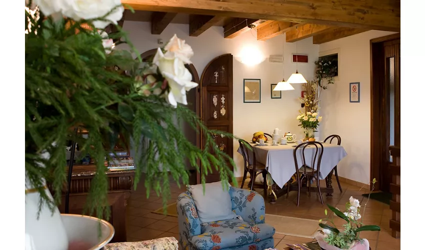 Agriturismo B&B Casale degli Ulivi