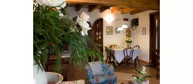 Agriturismo B&B Casale degli Ulivi