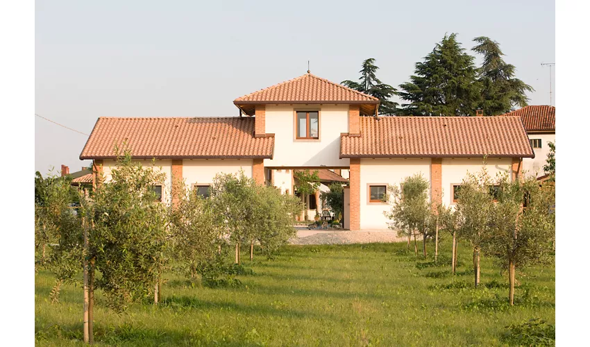 Agriturismo B&B Casale degli Ulivi