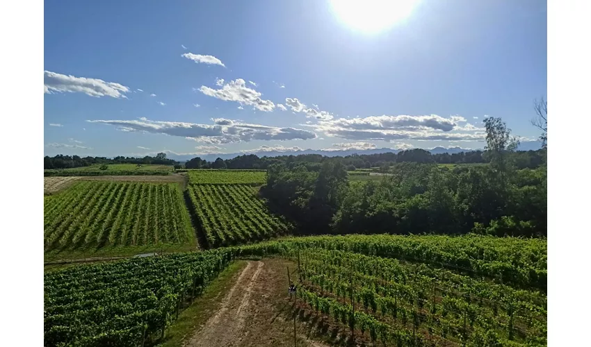 Azienda Vitivinicola e Agriturismo Enrico Crola 