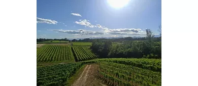 Azienda Vitivinicola e Agriturismo Enrico Crola 
