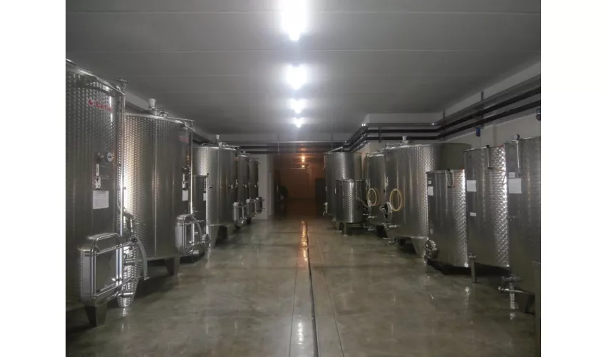 Azienda Vitivinicola e Agriturismo Enrico Crola 