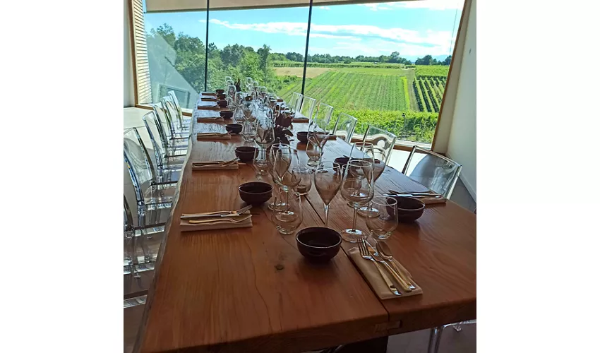Azienda Vitivinicola e Agriturismo Enrico Crola 