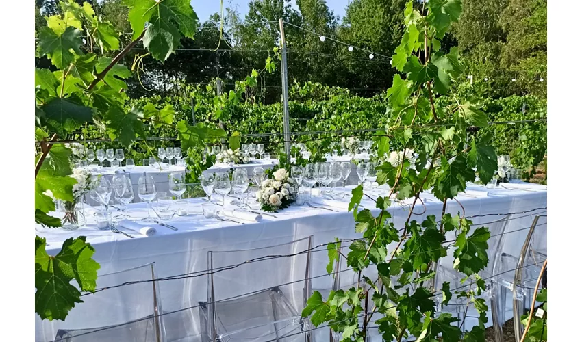 Azienda Vitivinicola e Agriturismo Enrico Crola 