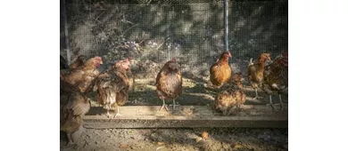 Agriturismo Il Casale delle Ginestre