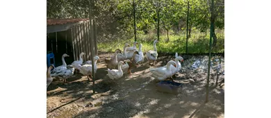Agriturismo Il Casale delle Ginestre