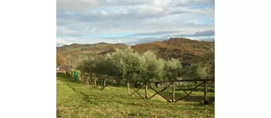 Agriturismo Guinzano