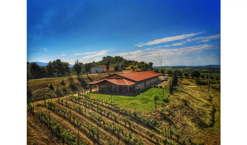 Sapori di Monte Antico - Begnardi Vini