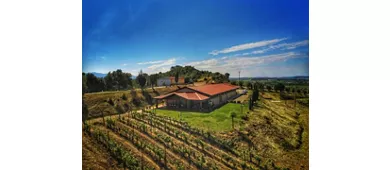 Sapori di Monte Antico - Begnardi Vini