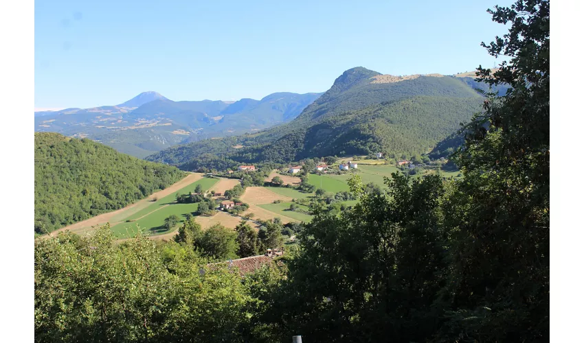 Agriturismo Bio La Tana Del Lele
