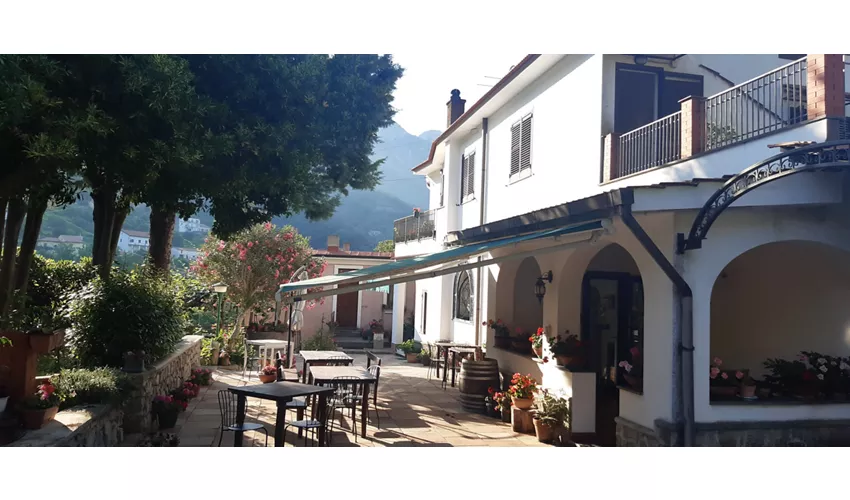 Agriturismo Mare e Monti Tramonti Winery,Rooms,Camping,Tents,Van,Camper