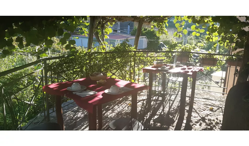 Agriturismo Mare e Monti Tramonti Winery,Rooms,Camping,Tents,Van,Camper