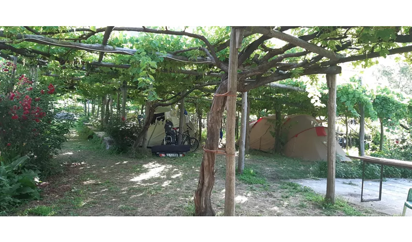 Agriturismo Mare e Monti Tramonti Winery,Rooms,Camping,Tents,Van,Camper