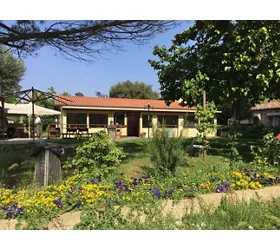 Agriturismo Angelini