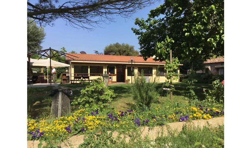 Agriturismo Angelini