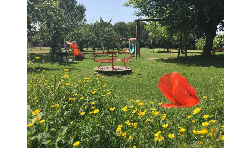 Agriturismo Angelini