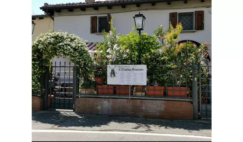 Mulino Bruciato Srl
