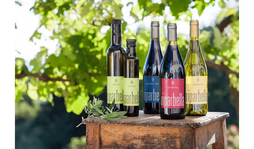 Podere Riparbella