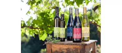 Podere Riparbella