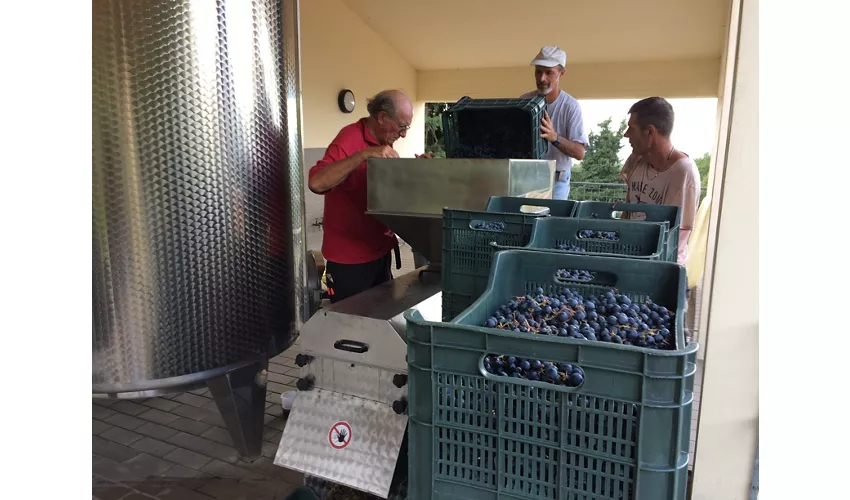 Podere Riparbella