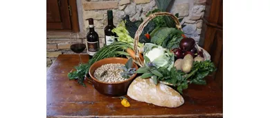 Fattoria San Donato 