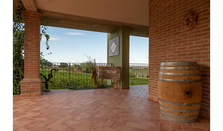 Cantina La Spina