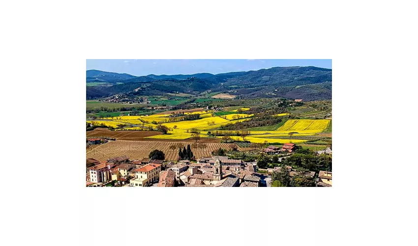 Cantina La Spina