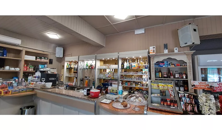 Bar T