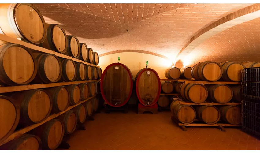 Colle Santa Mustiola