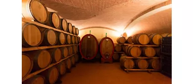 Colle Santa Mustiola